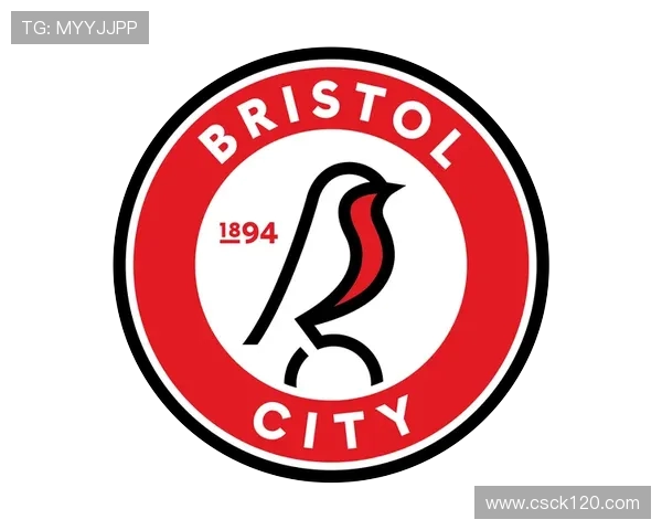 2006年英超球队队徽设计与赛事回顾 2006年英超球队队徽设计与赛事回顾