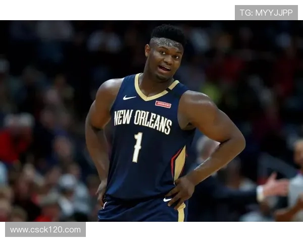 NBA胖虎球员数据，深入了解胖虎球员的赛季表现