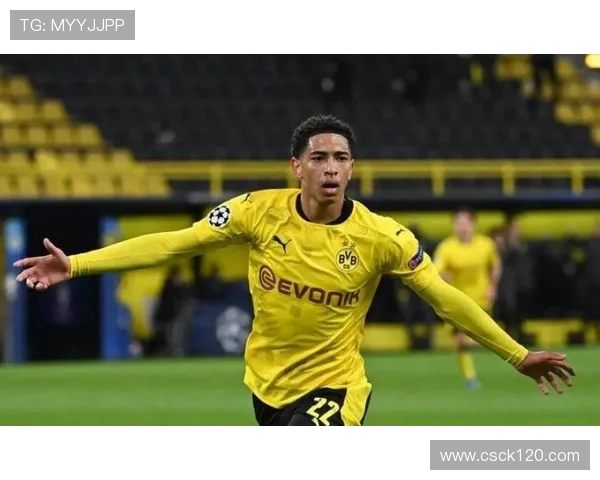 法甲球员综合排名榜：多维度衡量下的最佳球员