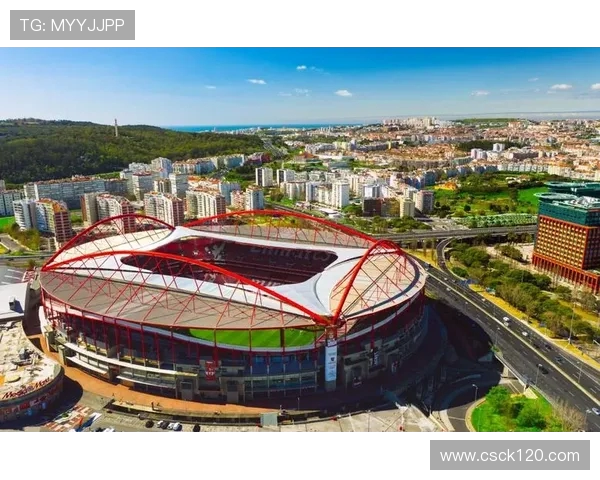 二十一世纪足球世界杯变迁与全球文化竞技格局新图景的历史演进与未来展望